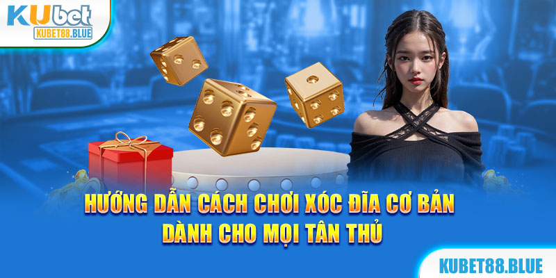 Hướng Dẫn Cách Chơi Xóc Đĩa Cơ Bản Dành Cho Mọi Tân Thủ