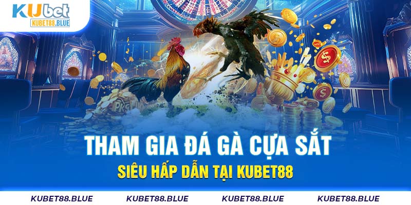 Tham Gia Đá Gà Cựa Sắt Siêu Hấp Dẫn Tại Kubet88