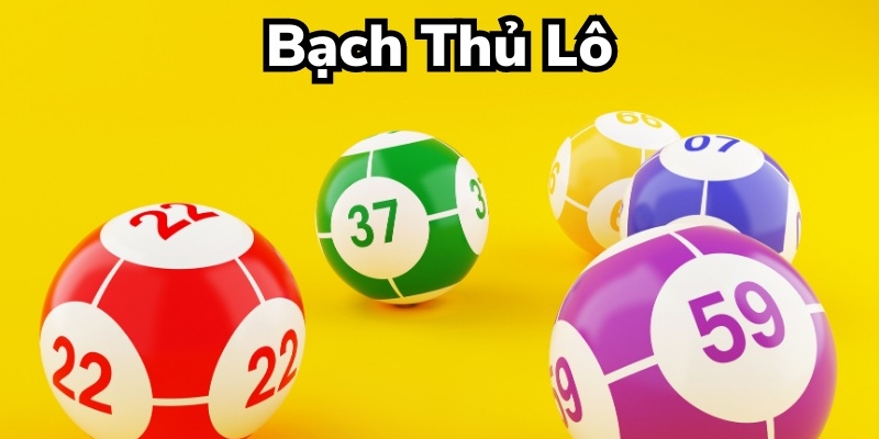 Khái niệm bạch lô thủ là gì?