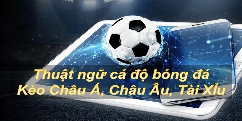 Thuật ngữ cá cược bóng đá theo kèo online