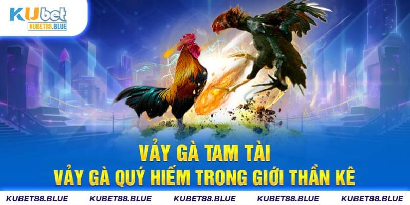 Vảy Gà Tam Tài - Vảy Gà Quý Hiếm Trong Giới Thần Kê