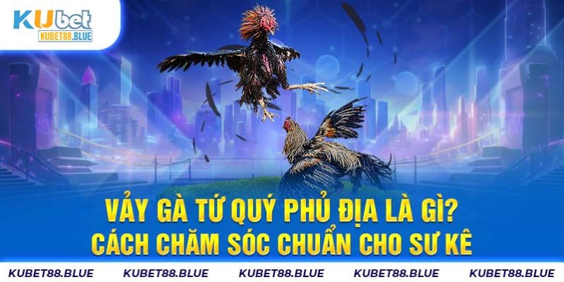 Vảy Gà Tứ Quý Phủ Địa Là Gì? Cách Chăm Sóc Chuẩn Cho Sư Kê